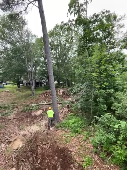 ACTS Services crew doing tree services work in York, Maine